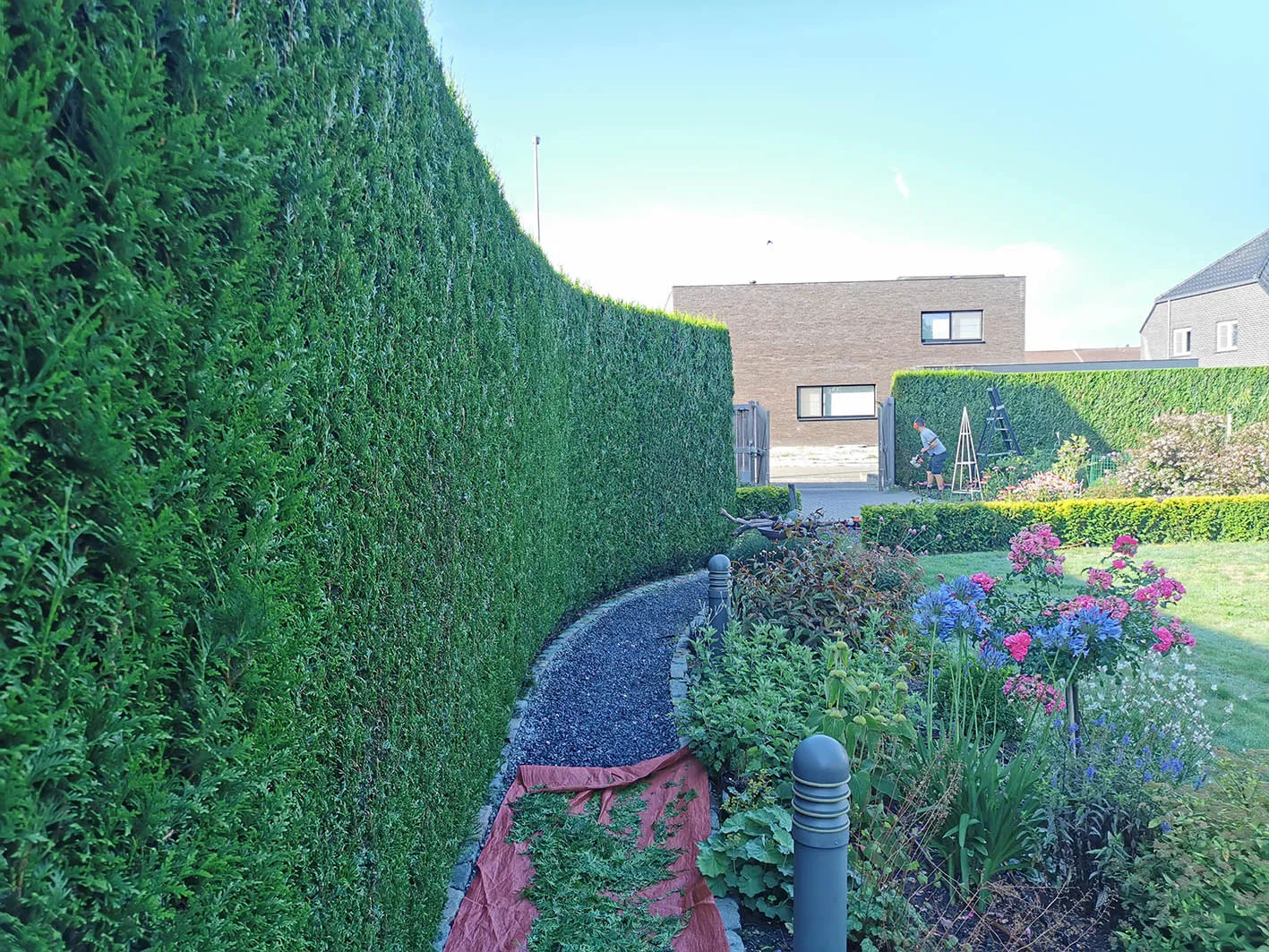 Tuinonderhoud door Tuinprojecten Meers